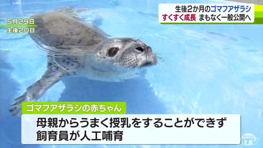 img_a7bb4760ea6e5193b4af009bb7