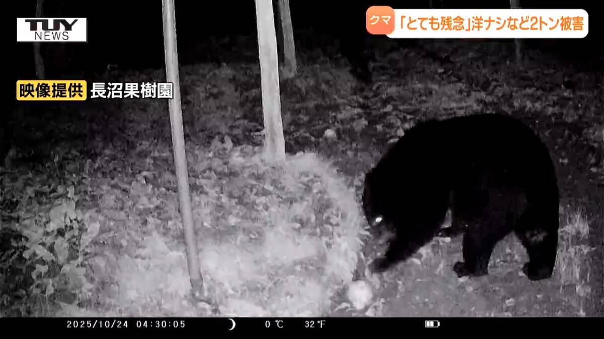 img_a73d60670144af0821d3f27609