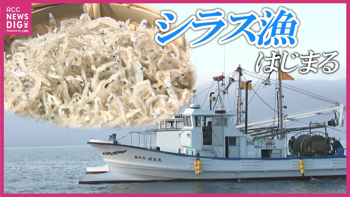 シラス漁」が解禁 最初の網入れで200キロ水揚げも赤字の恐れも 燃料の