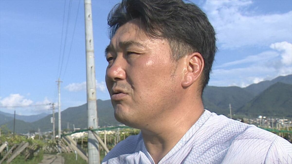 「全部吹っ飛ばされて、無くなるときは一瞬」石川や富山で線状降水帯など全国で相次ぐ自然災害　県内でも先月 突風でブドウ棚倒壊の被害　山梨
