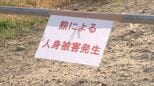 沢で見つかった遺体は85歳男性と判明 クマに襲われた可能性高く、頭や体には複数の傷が 岩手・西和賀町|TBS NEWS DIG