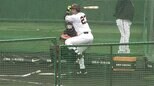 かつて大谷翔平選手からホームランを打ったベテラン・松田宣浩 選手のイマに注目【バース・デイ】|TBS NEWS DIG