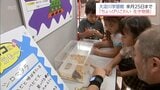 ヘビやクモなど見た目が怖がられている生き物にスポット「ちょっぴりこわい生き物展」　宮崎市の大淀川学習館で10月25日まで|TBS NEWS DIG