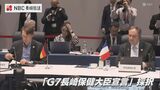 G7保健大臣会合で宣言採択 | 長崎のニュース | 天気 | NBC長崎放送