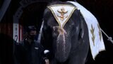 4年ぶりの地元公演は大盛況！木下大サーカス10万人突破　ゾウのカンマイから来場者に贈り物【岡山】|TBS NEWS DIG