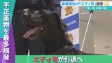 歴代最多の摘発数!エース麻薬探知犬『エディ号』が引退へ 7年の活動に幕|TBS NEWS DIG
