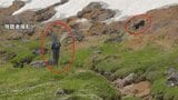 【危険な行為】ヒグマに自ら近づきスプレー噴射、至近距離で写真撮影も「刺激する行為は非常に危険」大雪山系白雲岳にいた無謀な登山者 | 北海道のニュース|HBC北海道放送