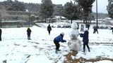 「道路が凍り心配」霧島市で最低気温0.8度 各地で寒い朝 出水市では雪も 鹿児島 | 鹿児島のニュース|MBC NEWS|南日本放送