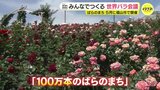 「福山市を世界的なばらの都市に」5月官民一体でつくる世界バラ会議開催へ|TBS NEWS DIG