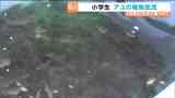 「稚魚は黒かった」小学生がアユの稚魚放流を体験　宮城・川崎町|TBS NEWS DIG