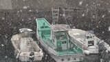 【最強寒波】日本海側で大雪、太平洋側の平地でも…海上は大しけの予想、交通障害、暴風雪、高波に警戒必要 南国・高知でもすでに大雪(24日午後6時) | 高知のニュース・天気|KUTV NEWS | KUTVテレビ高知