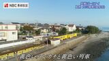 黄色いハンカチに黄色い列車 ホームのすぐそばに有明海 島原鉄道 大三東駅を空から【長崎ばーどアイ】 | 長崎のニュース | 天気 | NBC長崎放送