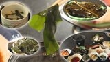「春を先どりアラカルト」わかめ養殖発祥の地・大船渡市末崎町で獲れた早採りワカメを味わう | IBC NEWS | IBC岩手放送