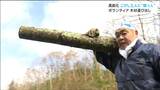 こけしの材料の木材「実は重い」山から運び出せない“高齢化進む工人”に心強い助っ人登場　宮城・大崎市鳴子温泉|TBS NEWS DIG