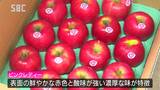 「ピンクレディー」をバレンタインデーにいかが…?鮮やかな赤色が特徴のリンゴ、出荷に向けて準備 長野・安曇野市|TBS NEWS DIG