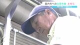 激震に耐えたナシの人気品種「新高」 出荷は2割にとどまるも「来年への一歩」 震度7の氷川町　熊本　　|TBS NEWS DIG