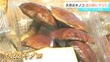 ご存じ?「コウタケ」「アイシメジ」「サクラシメジ」…長野市の道の駅に「天然キノコ」がズラリ!去年より2週間ほど遅いものの続々と入荷|TBS NEWS DIG
