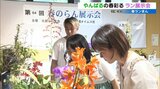 「春ランまん」愛好家が丹精込めたラン展示会|TBS NEWS DIG