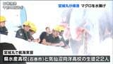 「陸はうれしい。船の上はしんどかった」水産高校の生徒たち2か月の実習航海終えハワイ沖でとれた“マグロ”13t水揚げ 宮城・石巻漁港 | 宮城のニュース│tbc NEWS│tbc東北放送