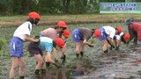 盛岡の小学生が「銀河のしずく」を田植え 生産から販売までを体験学習|TBS NEWS DIG