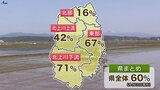 天候不順でペース遅れ気味も25日には9割終了の見込み 岩手県内の田植え進行状況60%(18日現在) |TBS NEWS DIG