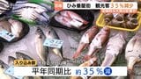 レベル5大雨警報で全店再開の「ひみ番屋街」客足35%減少の苦境　被害免れた富山・氷見の観光地が支援呼びかけ|TBS NEWS DIG