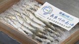 全国唯一“専用のセリ台”も 長良川の一部でアユ漁解禁 岐阜市で初競り 遡上数は去年の倍近く「価格落ち着く」と恵みに期待 11日夜に鵜飼も開幕 | 名古屋・愛知・岐阜・三重のニュース【CBC news】 | CBC web