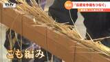 樹齢1500年 大ケヤキに取り付ける約18メートルの「横綱」 手作業で編み込む世代を超えてつながる伝統 | 山形のニュース│TUYテレビユー山形