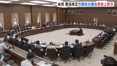 今の国会での憲法改正原案提出は事実上断念　自民党は閉会中審査呼びかけ| TBS CROSS DIG with Bloomberg