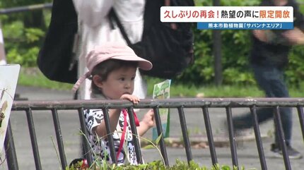 売り切れました。キリンソウ 大覆輪 キリンが見たい」ファンの声に熊本市動植物園が神対応！ リニューアル