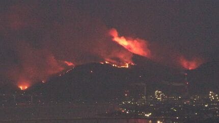 大規模な山林火災のあとに広がる生態系「死の世界」 20日目に鎮火した