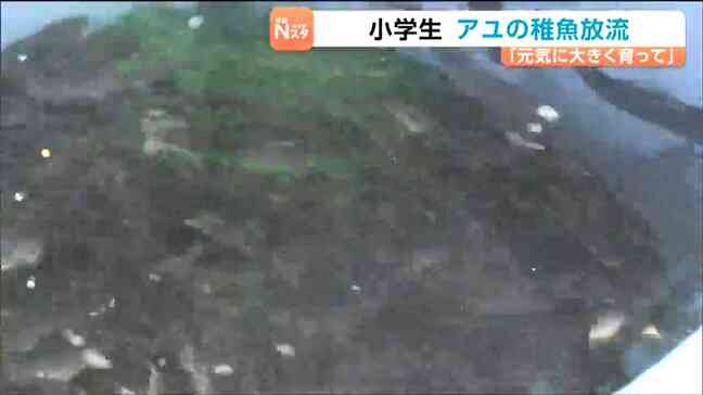 「稚魚は黒かった」小学生がアユの稚魚放流を体験　宮城・川崎町|TBS NEWS DIG