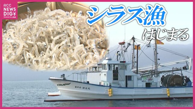 「シラス漁」が解禁 最初の網入れで200キロ水揚げも赤字の恐れも 燃料の高騰や石油由来製品の供給不安 夏の味覚「ちりめん」に中東情勢の影 イワシ網漁解禁|TBS NEWS DIG