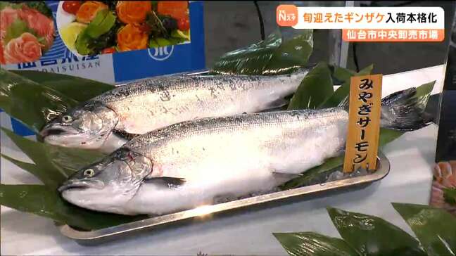 旬のギンザケを「楽しく話が弾む母の日の食卓」に　仙台市中央卸売市場|TBS NEWS DIG