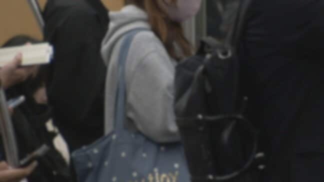 ｢後ろから触られた｣17歳女子高校生が届け出て発覚　列車内でスカートをめくってわいせつ行為か　31歳会社員の男｢スカートの上から触っただけ｣|TBS NEWS DIG