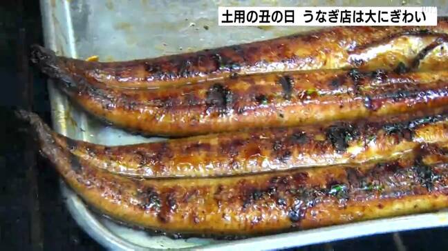 「うなぎで一杯」26日は土用の丑の日！900人超の予約と飛び込み客でうなぎ店大賑わい【高知】|TBS NEWS DIG
