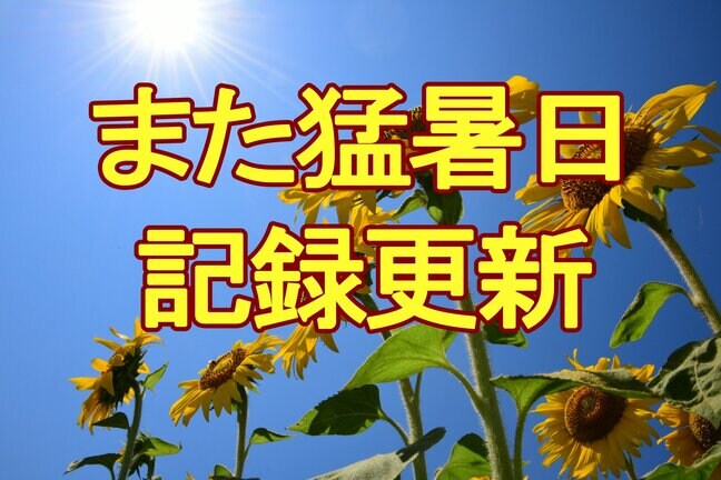 【速報】仙台で35.0度　今年14日目の猛暑日で従来の最多記録の2倍に　東京は38.5度で今年一番の暑さ|TBS NEWS DIG