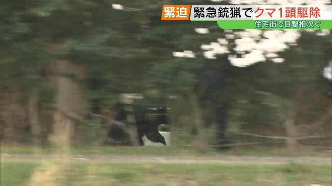 「爪がギラっとなっていた」市街地で目撃相次いだクマ、緊急銃猟で駆除　冬眠明けか　福島・郡山市|TBS NEWS DIG