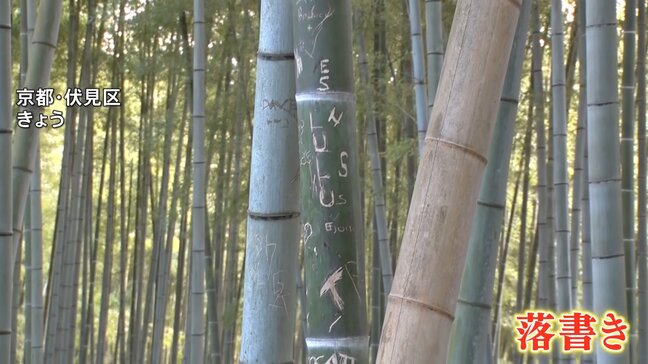京都・伏見稲荷大社近くの竹林も落書き　去年の嵐山被害に続き…「許せない」「悪質」所有者も落胆の声|TBS NEWS DIG
