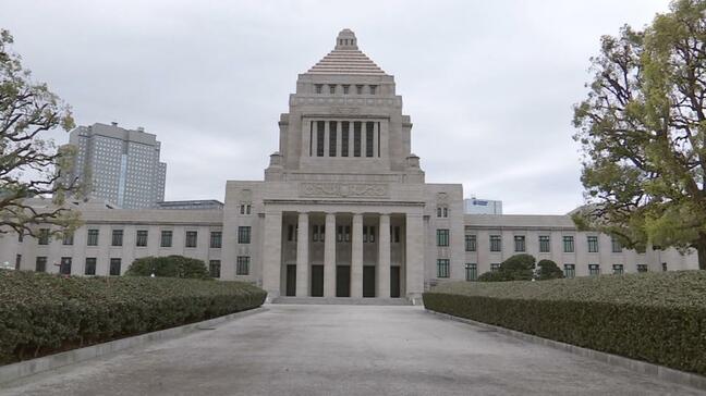 参院選 高良沙哉氏と奥間亮氏が政策発表|TBS NEWS DIG