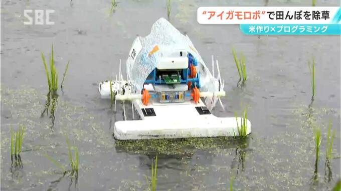 「アイガモロボ」を動かそう！コメ作りに取り組む小学生がプログラミングに挑戦！「スマート農業」を体験してもらおうと特別授業　長野・安曇野|TBS NEWS DIG
