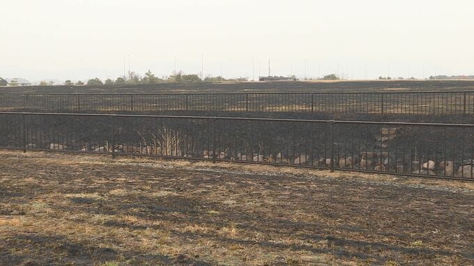 山口きらら博記念公園の芝生８０００平方メートルが燃える　けが人なし　山口|TBS NEWS DIG