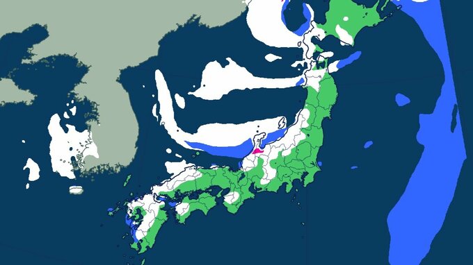 日本海側中心に大雪のおそれ　最大100センチの降雪予想　23日から25日にかけて警報級の大雪になる可能性【大雪と雨のシミュレーション】|TBS NEWS DIG