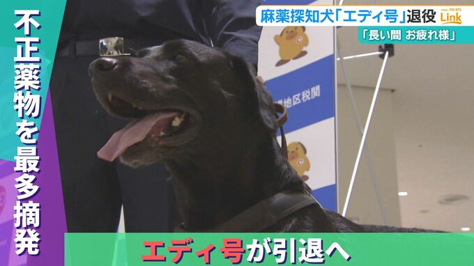 歴代最多の摘発数！エース麻薬探知犬『エディ号』が引退へ　7年の活動に幕|TBS NEWS DIG