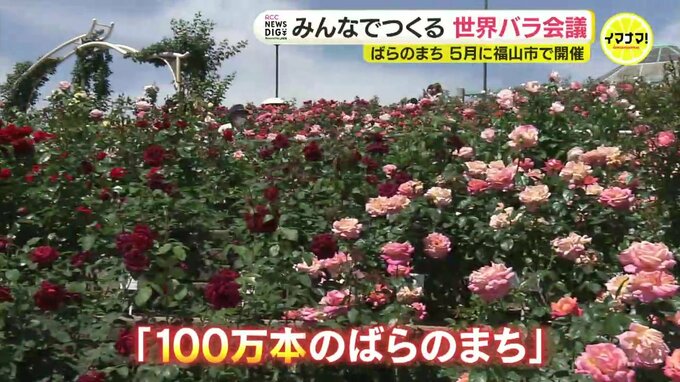 「福山市を世界的なばらの都市に」５月官民一体でつくる世界バラ会議開催へ　|　RCC NEWS | 広島ニュース | RCC中国放送