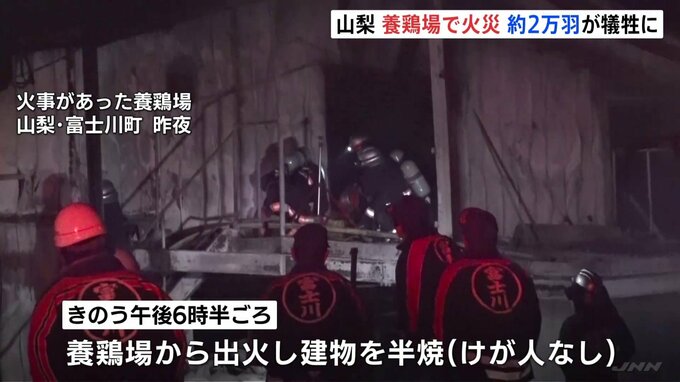 養鶏場で火災　2万1000羽のほとんどが死んだか　「ガスボンベが燃え建物に延焼」と通報　山梨・富士川町|TBS NEWS DIG