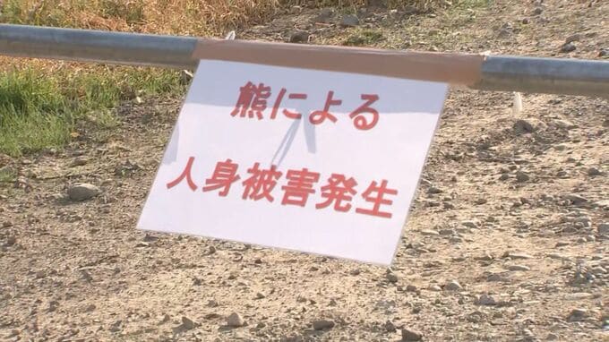 ワラビ採りに向かった85歳男性　沢で頭や体に傷の遺体見つかる　クマに襲われたか　岩手・西和賀町|TBS NEWS DIG