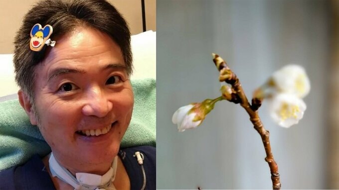 【ニャンちゅう】声優・津久井教生さん　「待ち焦がれた我が家の春が来ました〜♪」自宅の桜開花を報告　体調も「乙女心の心拍数は落ち着いて来ました♪」【ＡＬＳ闘病】|TBS NEWS DIG