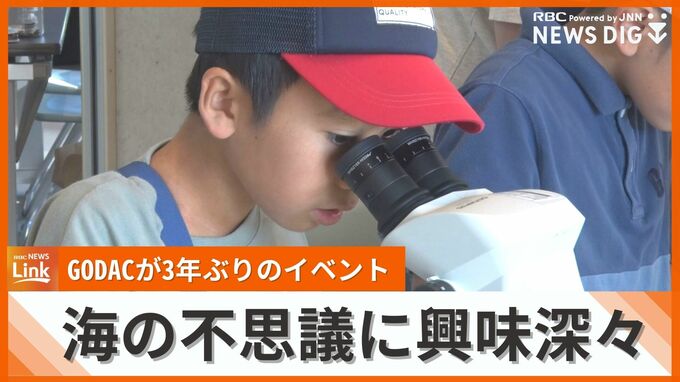 海や地球の不思議を発信「GODAC」が3年ぶりに一般公開イベント　600人が海の魅力に興味津々　|　沖縄のニュース｜RBC 琉球放送