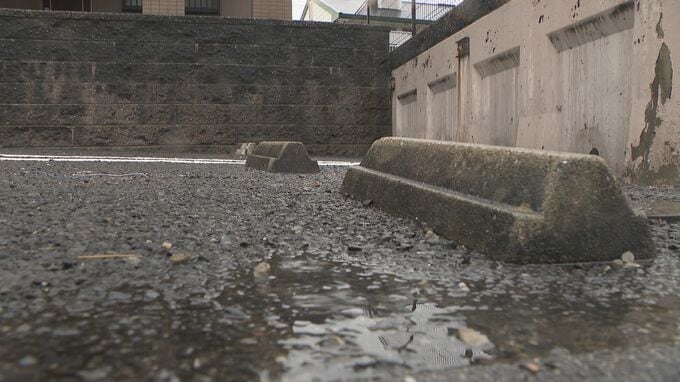 懐中電灯で何度も殴り…殺害しようとした疑い 66歳女を逮捕  男性は鼻の骨を折るなど全治3か月 叫び声を聞いた近隣住民が通報 愛知･大府市|TBS NEWS DIG